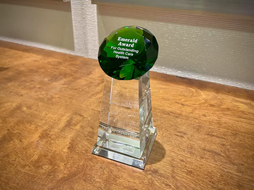 Leapfrog Emerald Award 