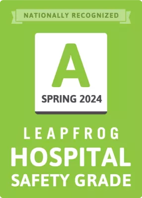 Leapfrog Spring 2024