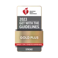 2023 Get with the Guidelines Stroke Gold Plus